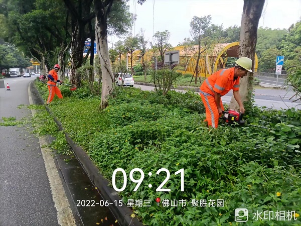 项目动态 | 打造美丽凤城，筑文明城市生态